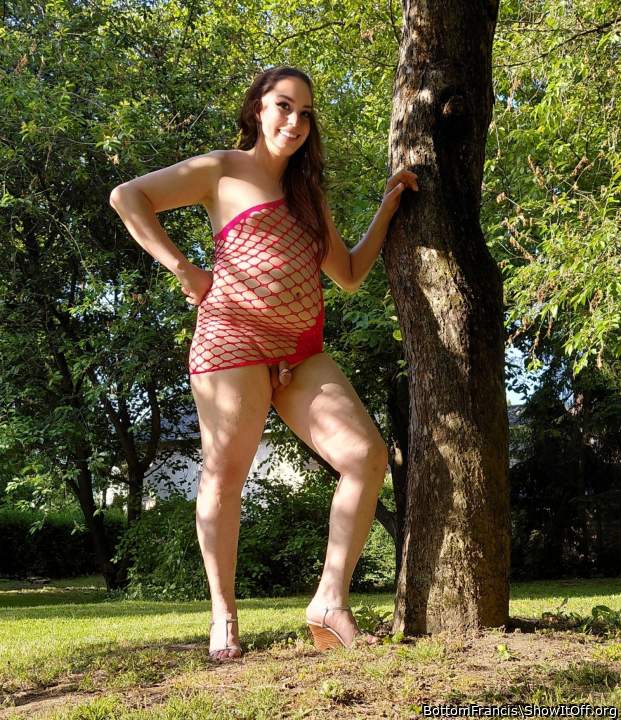 Little Red in the woods