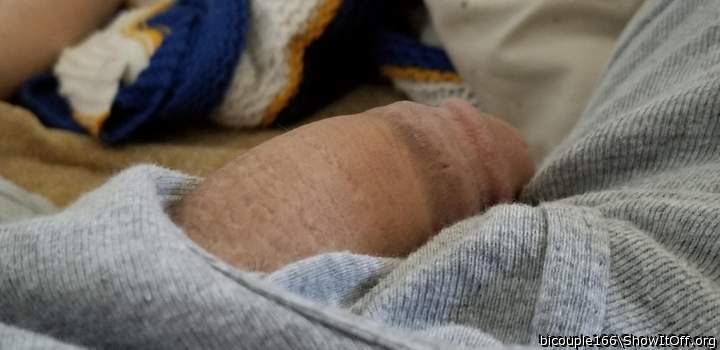 Photo of a middle leg from bicouple166