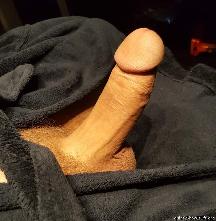 morning wood