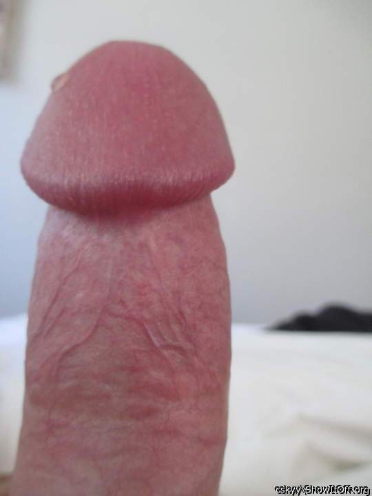 Photo of a tool from cskyy