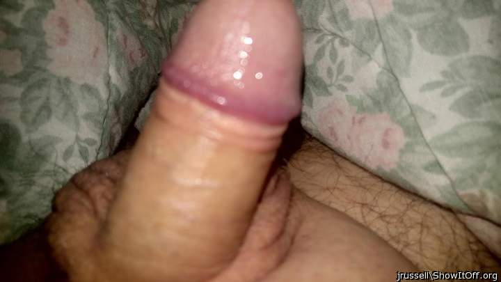 Photo of a boner from jrussell