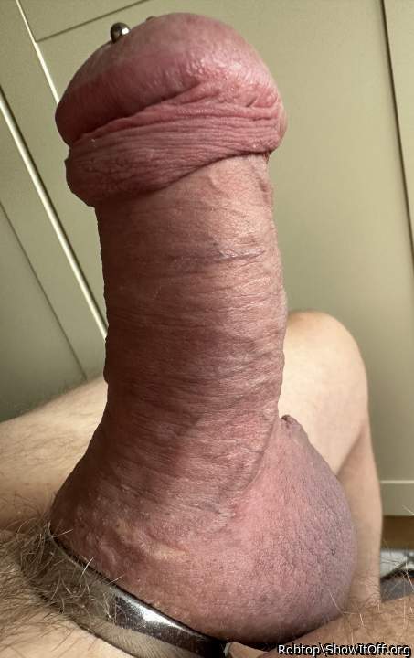 Photo of a sausage from Robtop