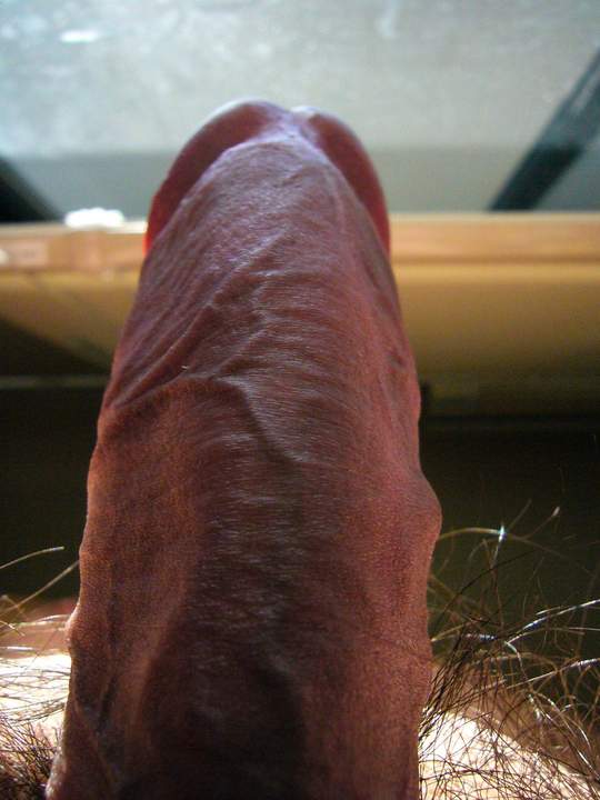 Nikuchuu (&#32905;&#26609;)