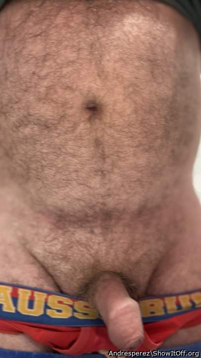 Photo of a rooster from Andresperez