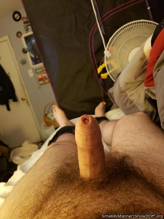 Photo of a purple headed monster from SmallDickTanner