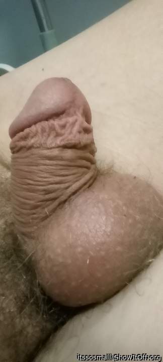 Photo of a meat stick from itssosmall