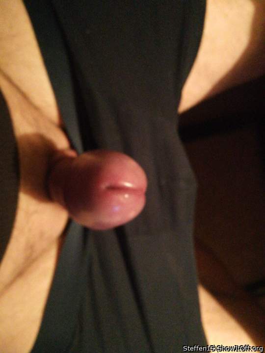 Photo of a cavalier from Steffen15