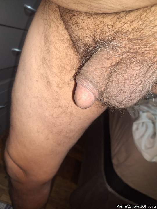 Photo of a short leg from Pielle
