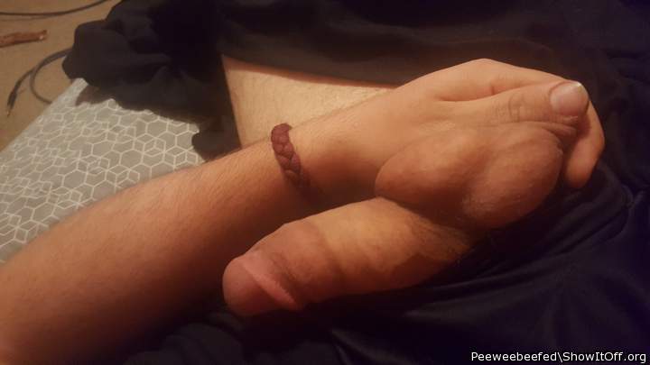 Photo of a snake from Peeweebeefed