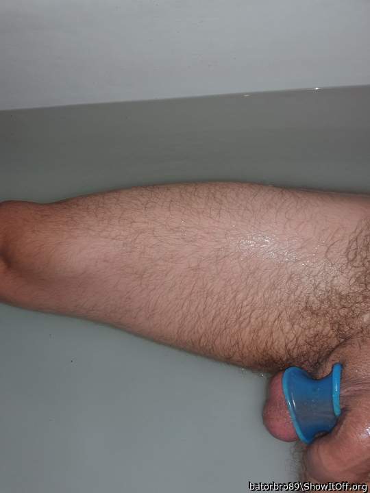 Photo of a lizard from batorbro89