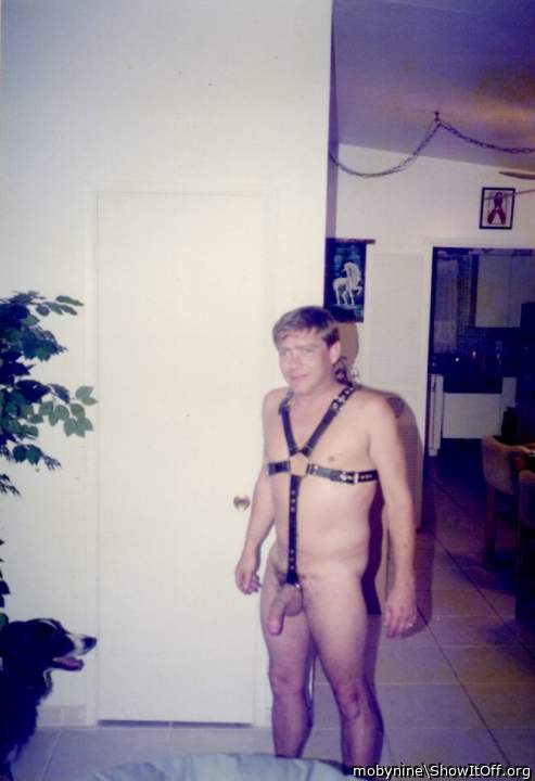 Leather Harness Young
