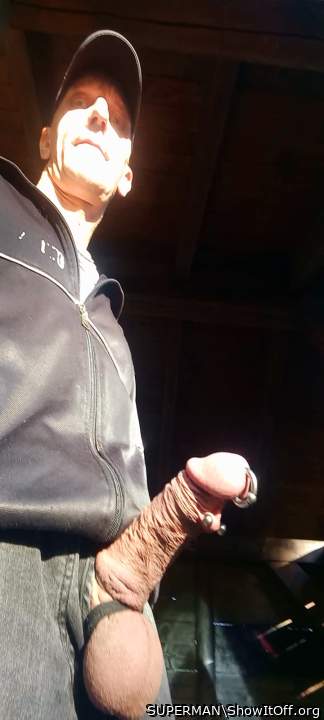 Cock in the Sun
