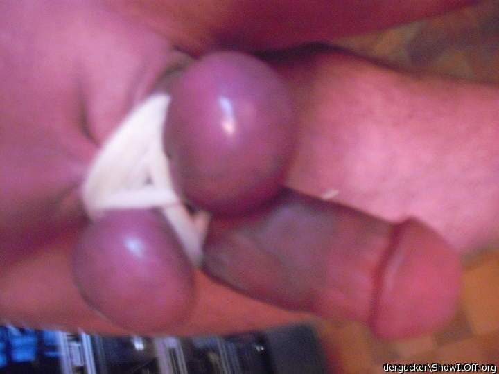 Gebunden