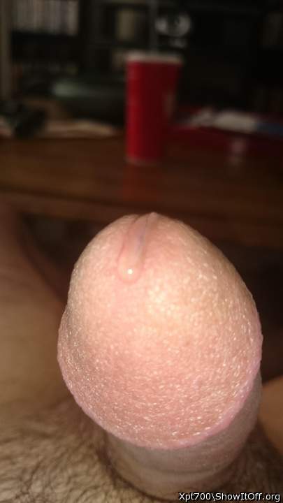 Photo of a pecker from Drippythemushroom