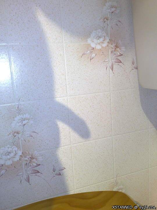 Photo of a member from X5TANNED
