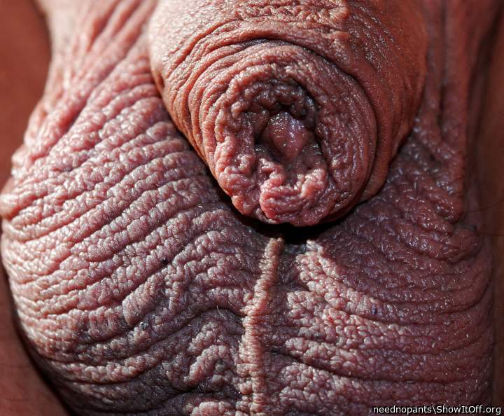 Photo of a one-eyed monster from neednopants