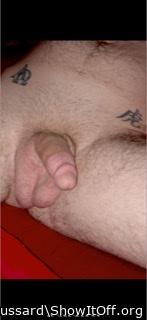Photo of a bat from Broussard