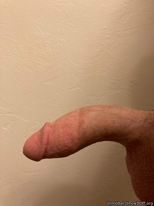 Photo of a hot dog from Otter