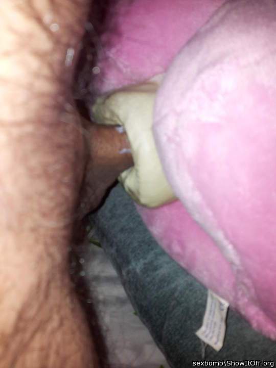 Photo of a weasel from Sexbomb