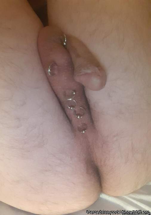 Photo of a cock from Piercedsissycock