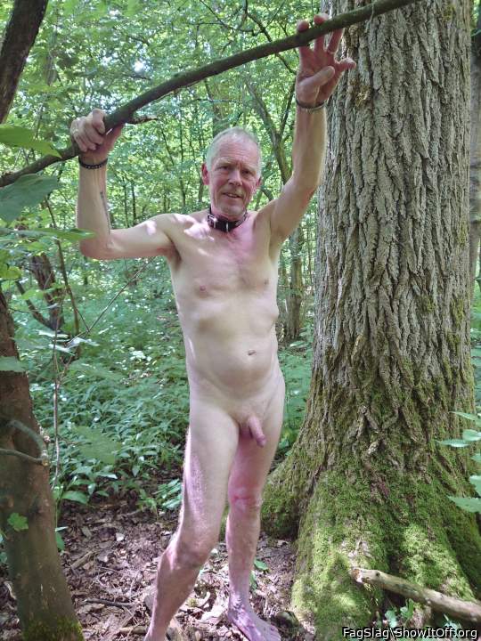 Photo of a third leg from FagSlag