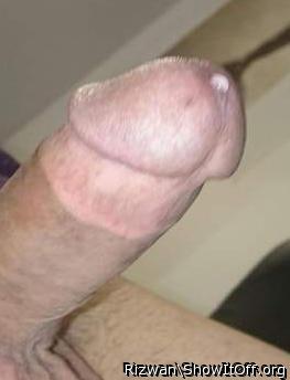 Photo of a lizard from Rizwan