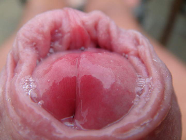 Photo of a private part from sivad666