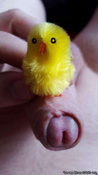    so sweet ... 10 from 10 points ! ✔