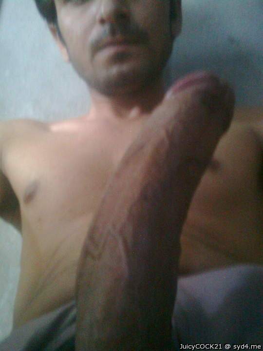 Photo of a cavalier from juicyCOCK21