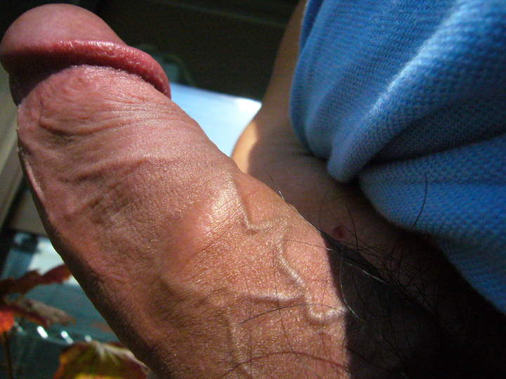 Photo of a wiener from vowowhouse