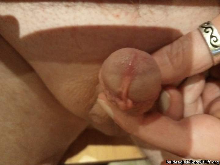 Photo of a boner from baldeagle1