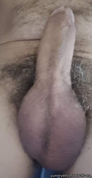 Testicles Photo from yummy69