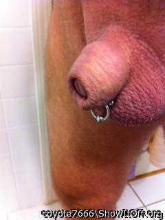 Photo of a lizard from coyote7666