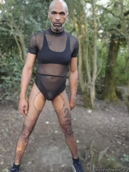 Photo of a horn from Don19