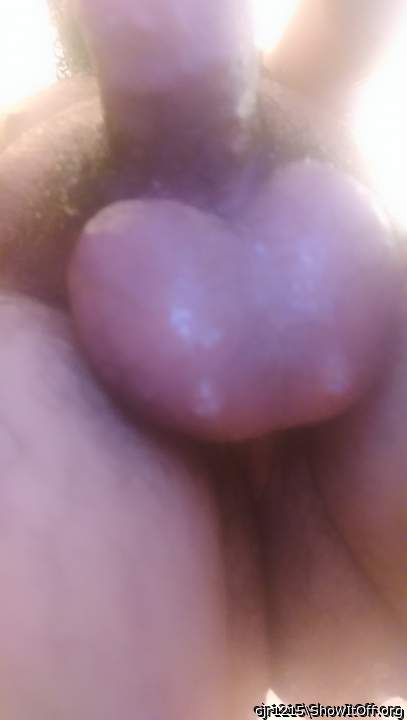 Photo of a stiffie from cjr1215