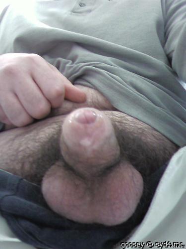 Photo of a horn from Goosey