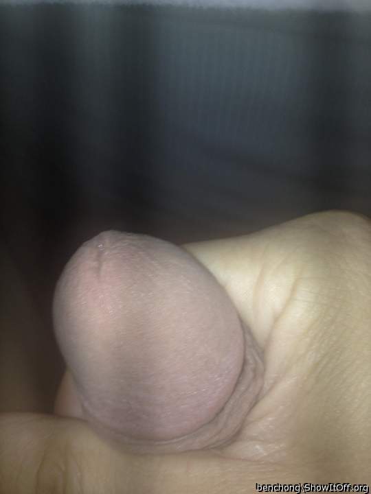 Midnight Wank