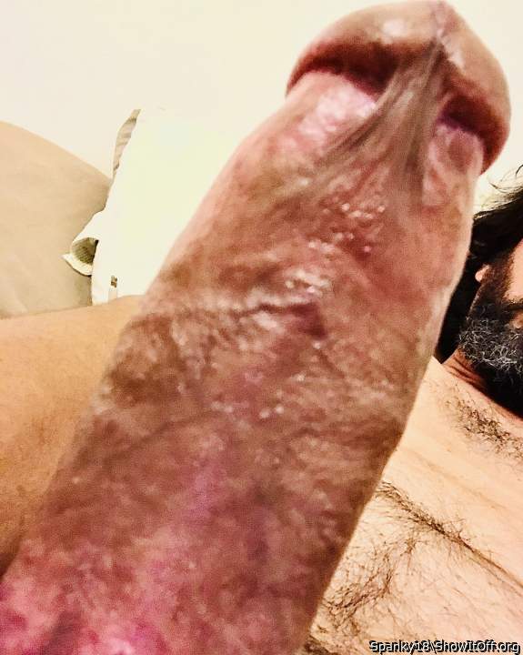 Photo of a cock from Spanky18
