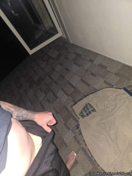 Photo of a python from LittleMan20