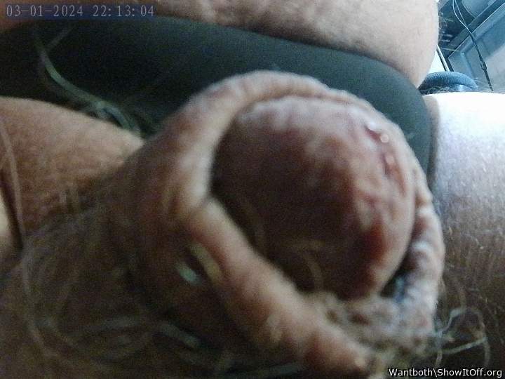 Photo of a wiener from Wantboth
