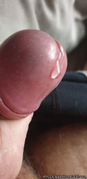 Photo of a love wand from MYCOCK66