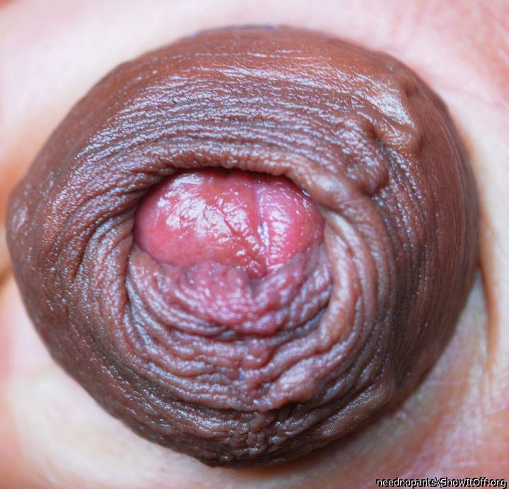 Adult image from neednopants