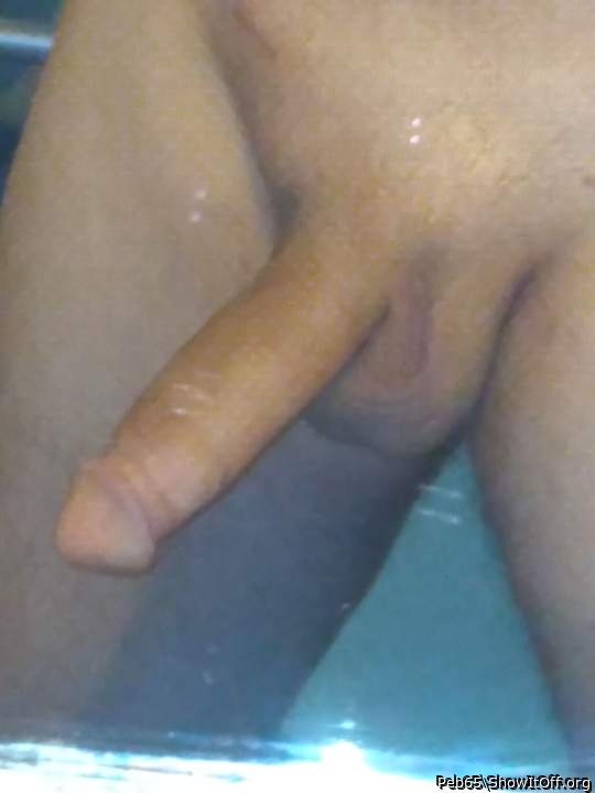Photo of a middle leg from Peb65