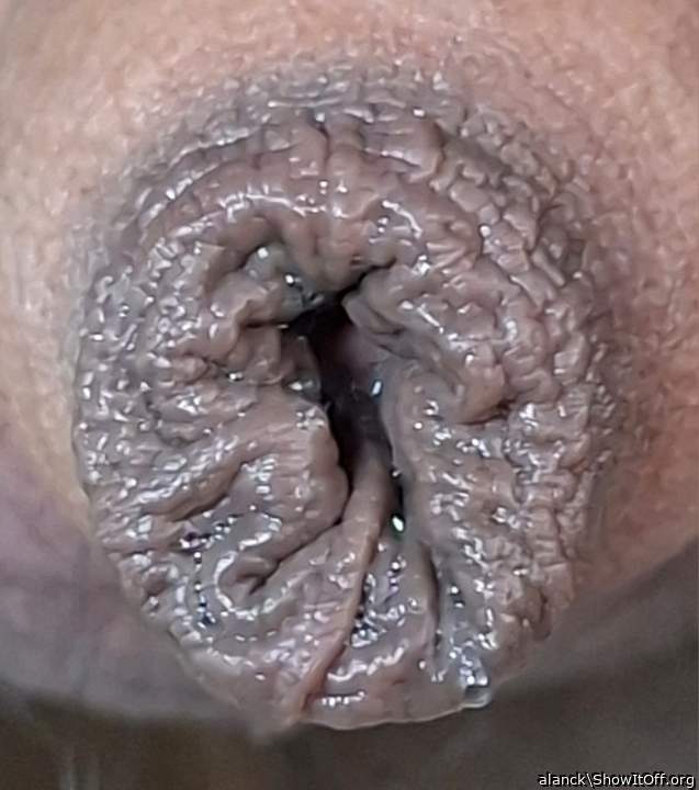 Photo of a lizard from alanck