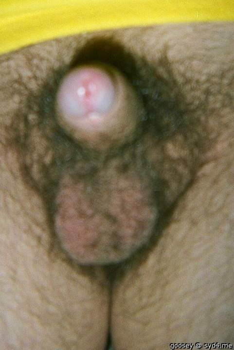 Photo of a wiener from Goosey