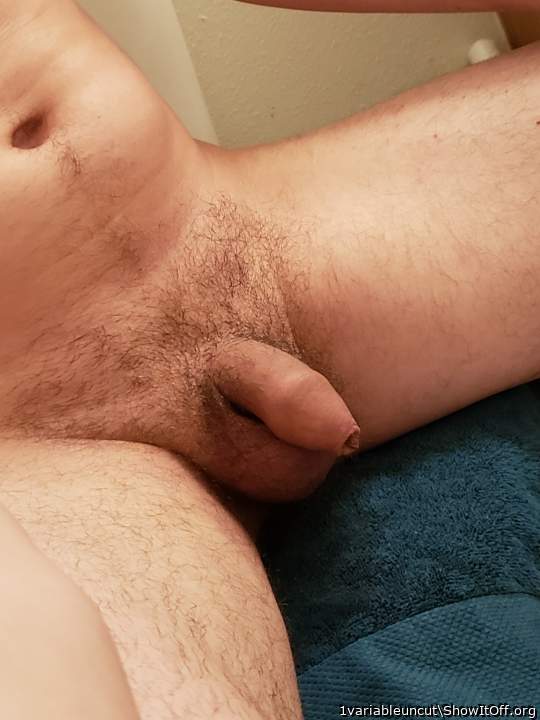 Attractive uncircumcised dick 