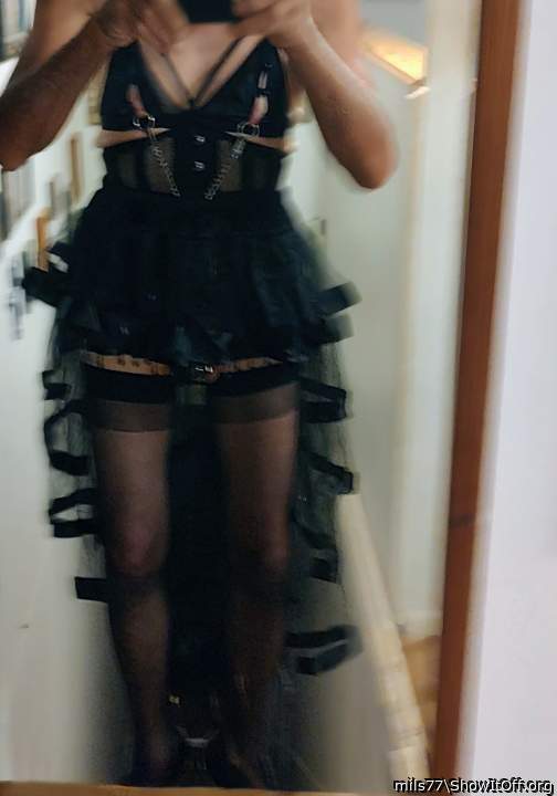 Photo of a bat from mils77