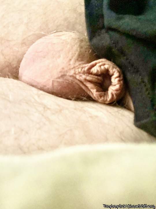 Teeny tiny dinky pp