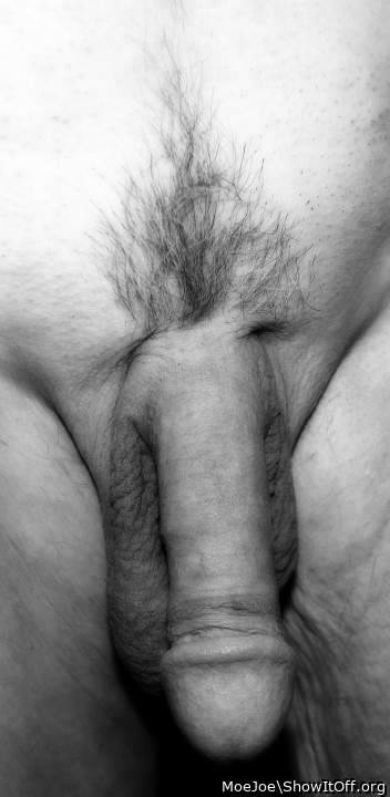 Penis