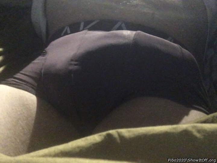 Photo of a dong from Pibo2020